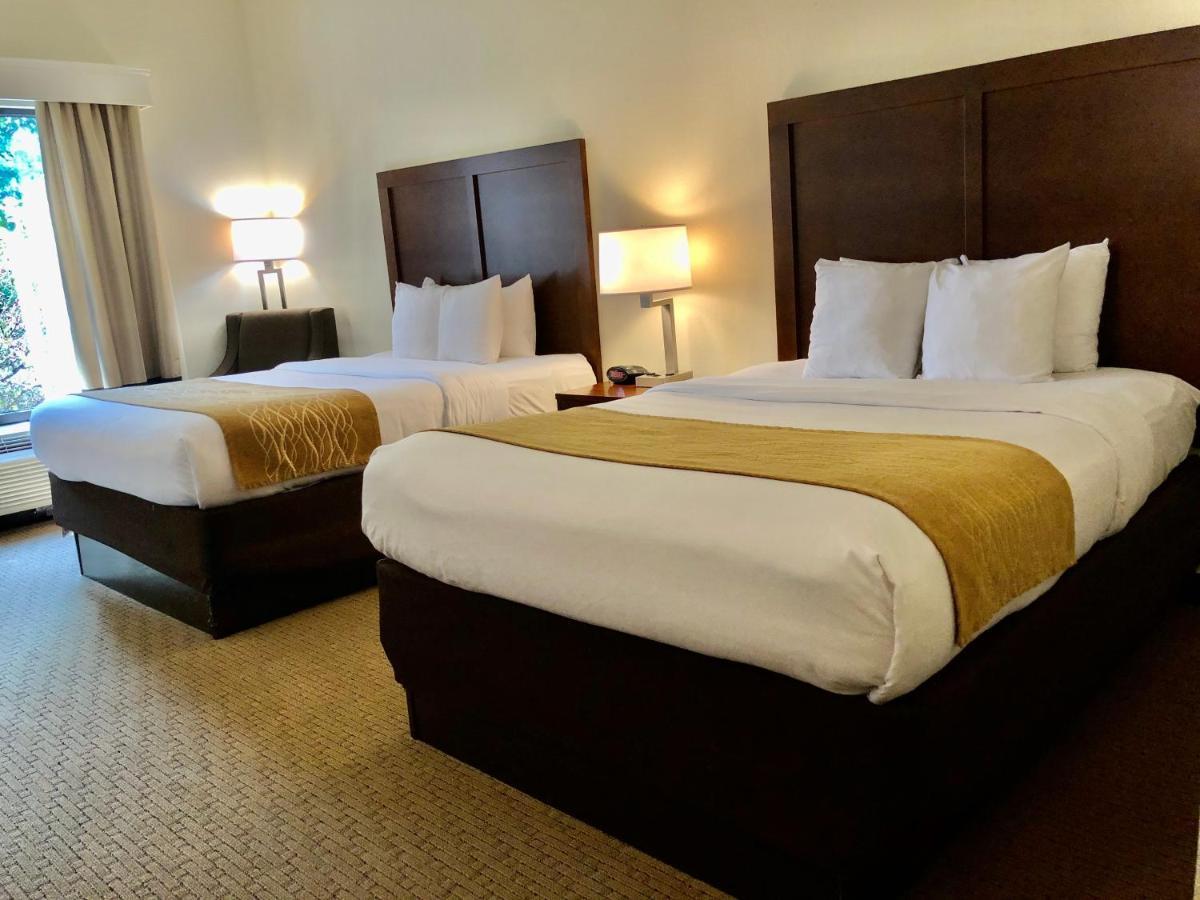 Comfort Inn & Suites Rogersville Εξωτερικό φωτογραφία