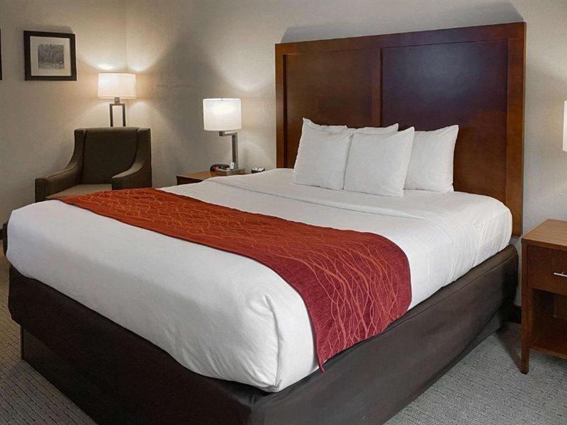 Comfort Inn & Suites Rogersville Εξωτερικό φωτογραφία