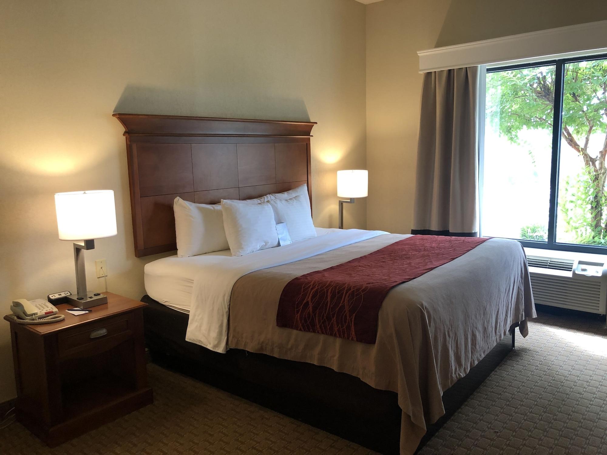 Comfort Inn & Suites Rogersville Εξωτερικό φωτογραφία