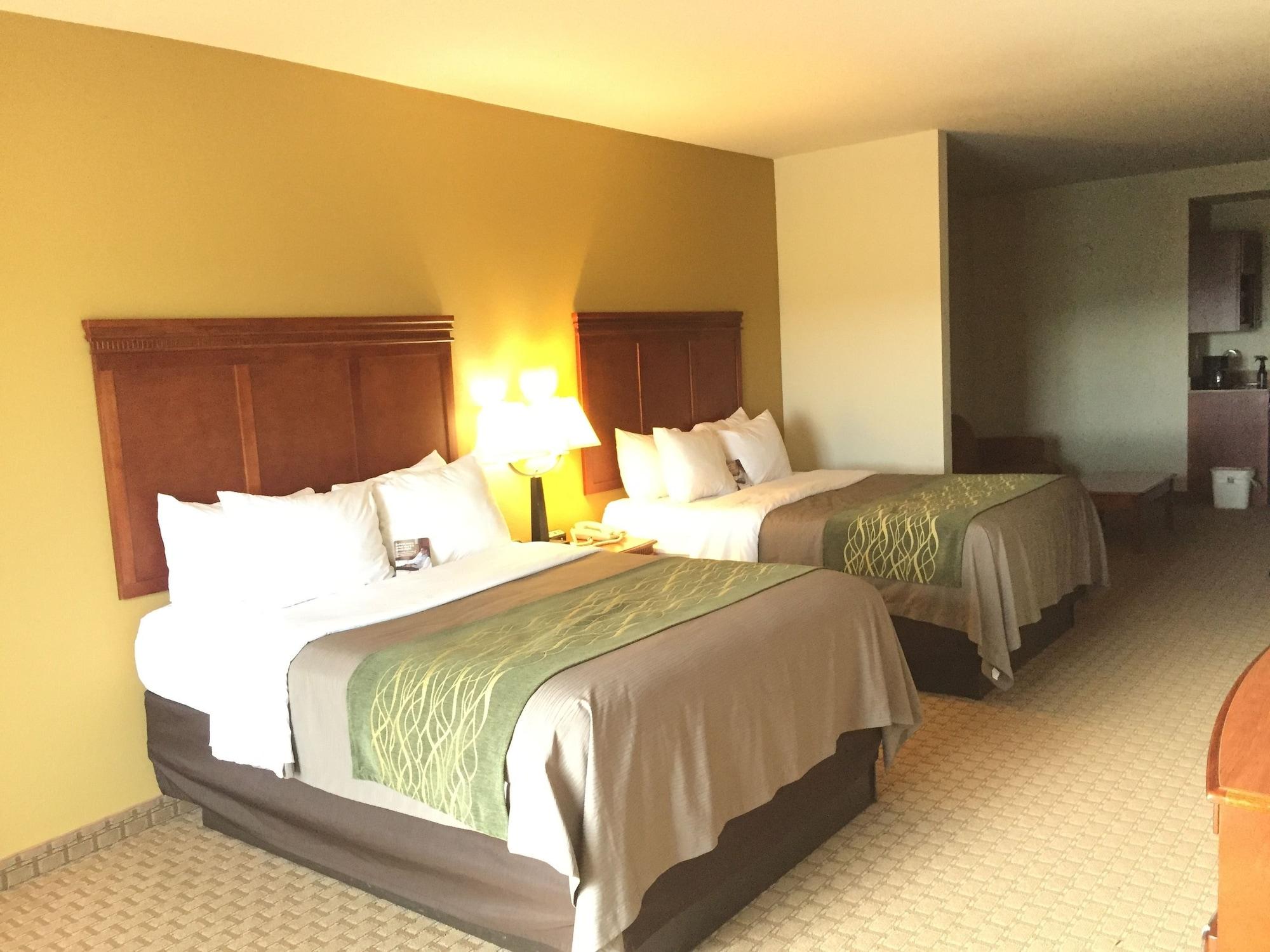 Comfort Inn & Suites Rogersville Εξωτερικό φωτογραφία