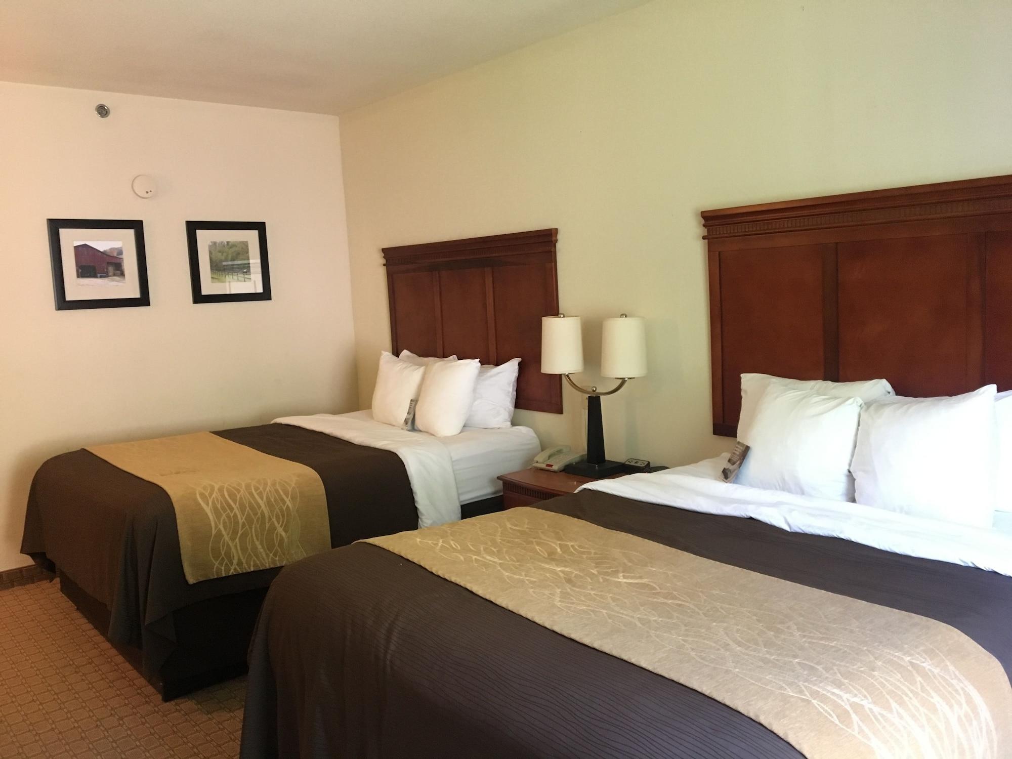 Comfort Inn & Suites Rogersville Εξωτερικό φωτογραφία