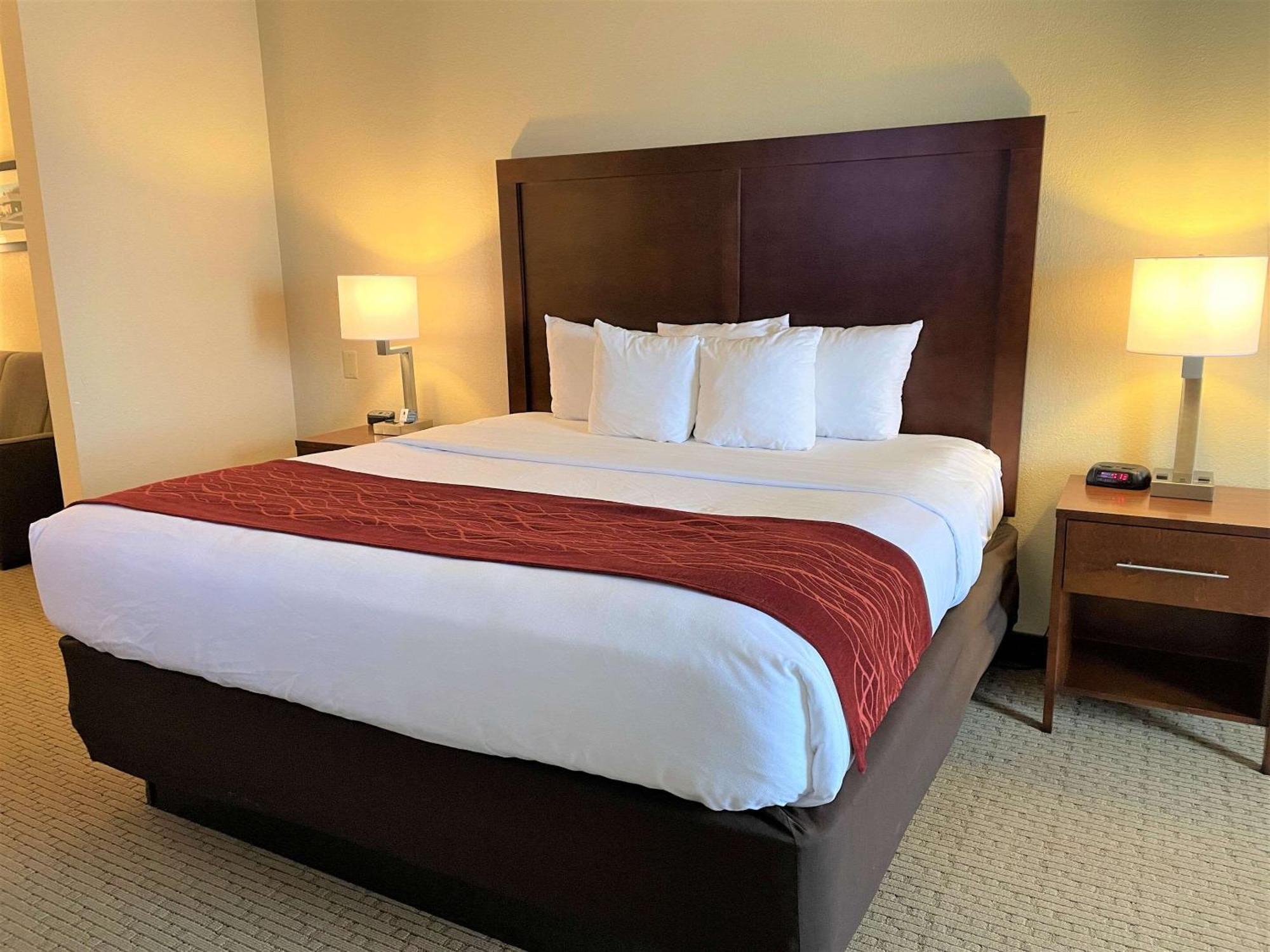 Comfort Inn & Suites Rogersville Εξωτερικό φωτογραφία