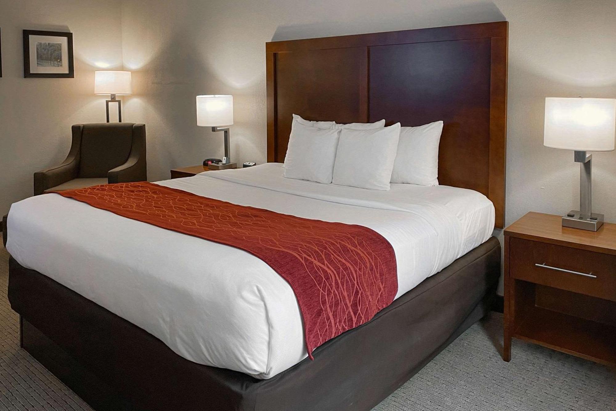 Comfort Inn & Suites Rogersville Εξωτερικό φωτογραφία